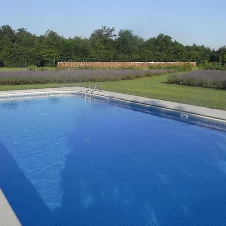 Agriturismo Domus Magna Povoletto ภายนอก รูปภาพ