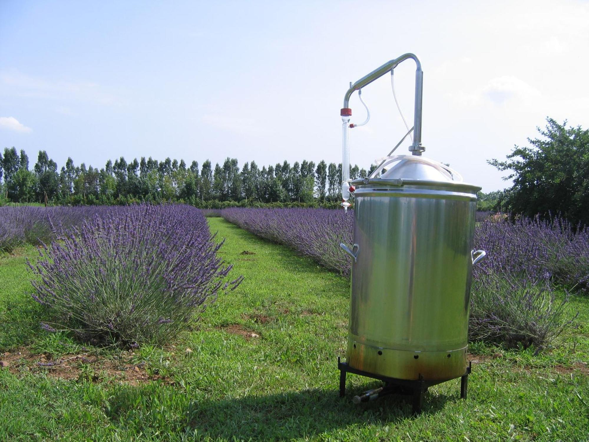 Agriturismo Domus Magna Povoletto ภายนอก รูปภาพ