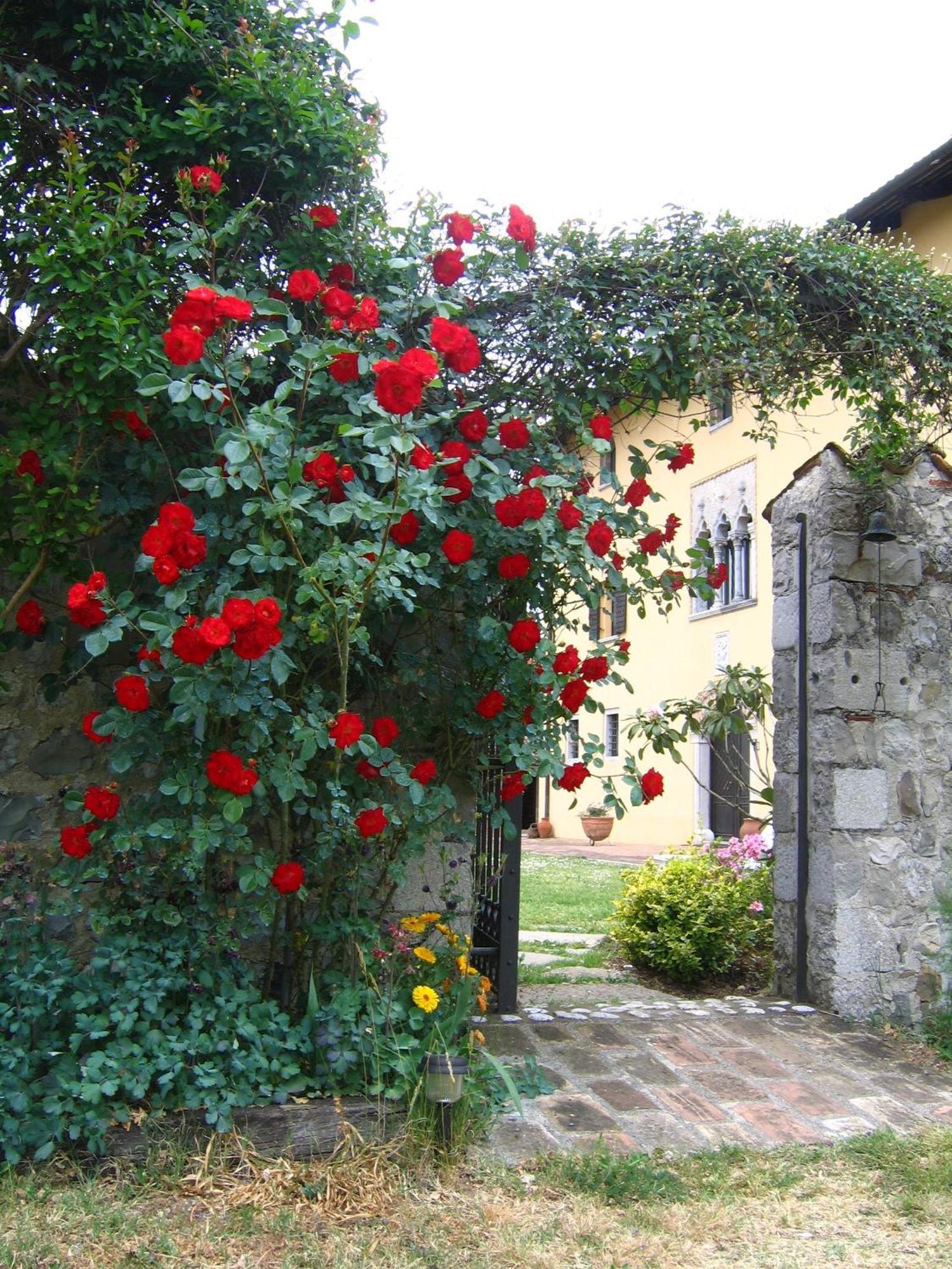 Agriturismo Domus Magna Povoletto ภายนอก รูปภาพ