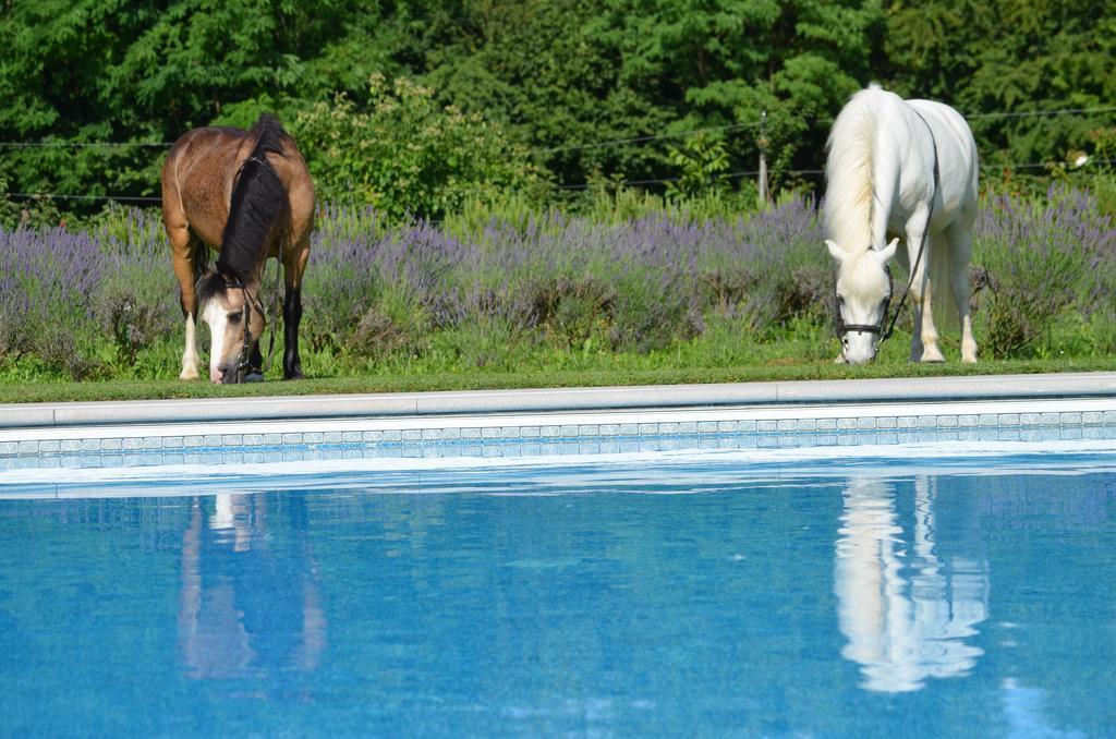 Agriturismo Domus Magna Povoletto ภายนอก รูปภาพ