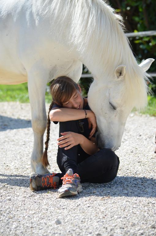 Agriturismo Domus Magna Povoletto ภายนอก รูปภาพ