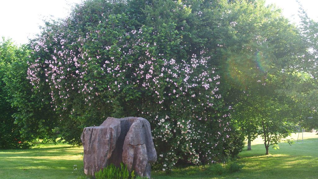 Agriturismo Domus Magna Povoletto ภายนอก รูปภาพ