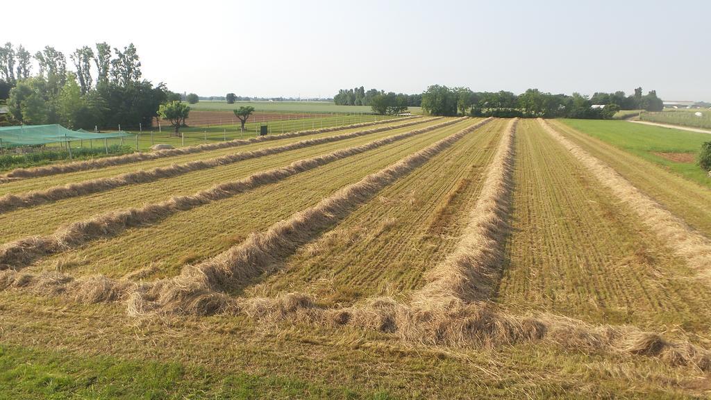 Agriturismo Domus Magna Povoletto ภายนอก รูปภาพ